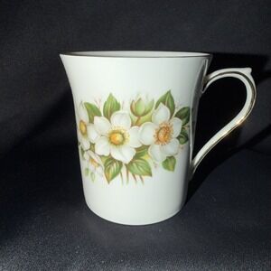 Rosina China Queens Fine Bone China Special Christmas Rose December Tea Cup UK